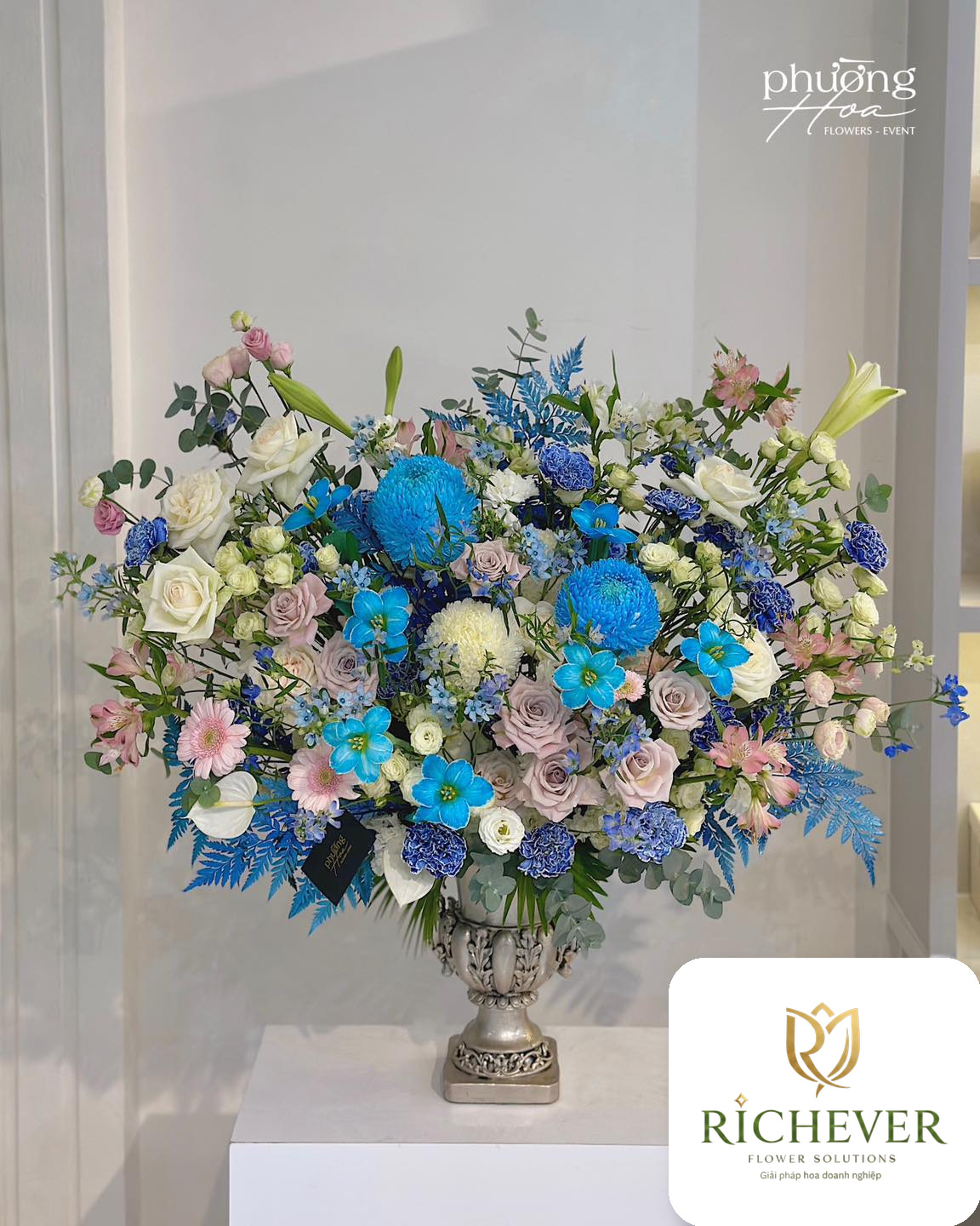 Business Image album 10