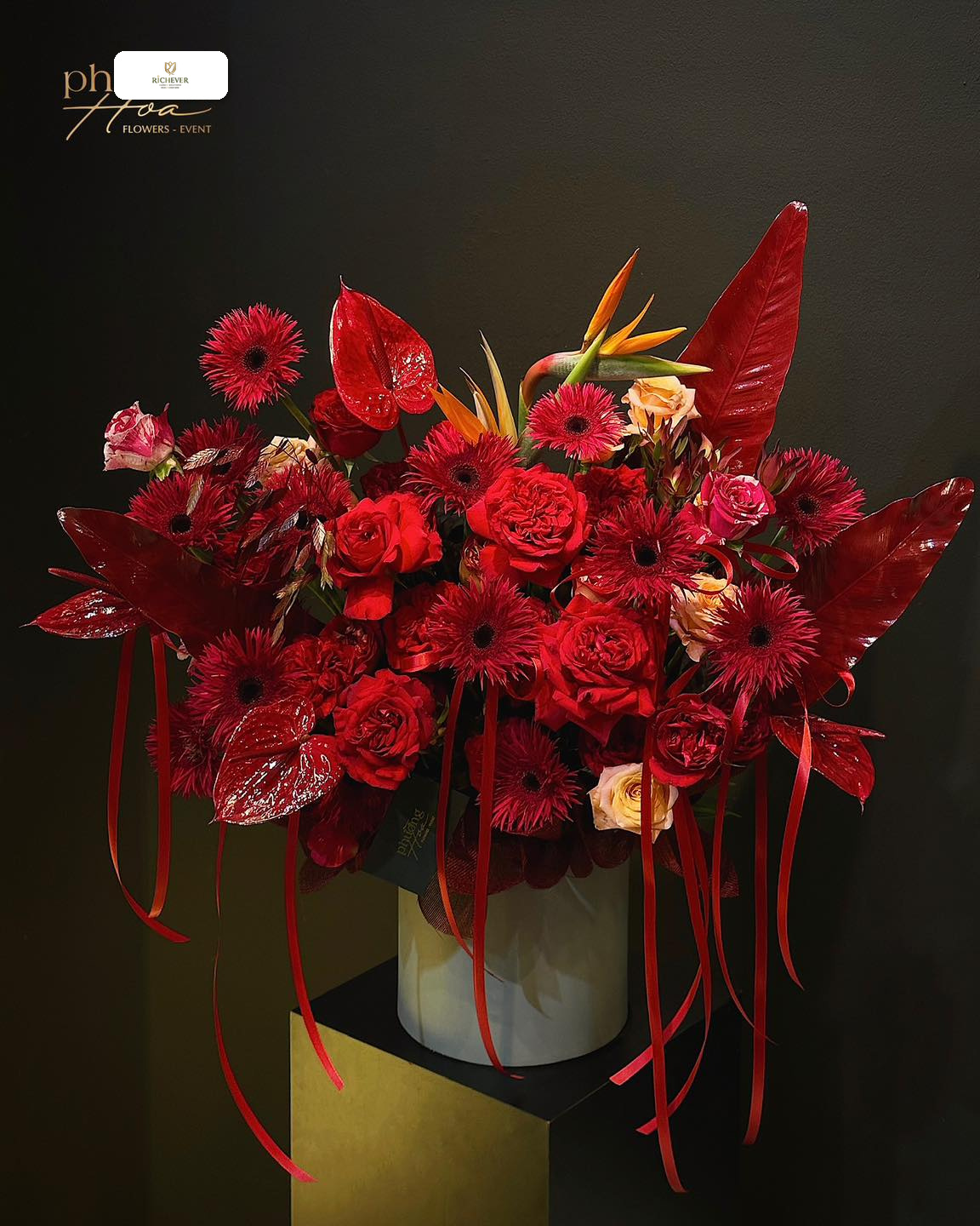 Event Selective album 8