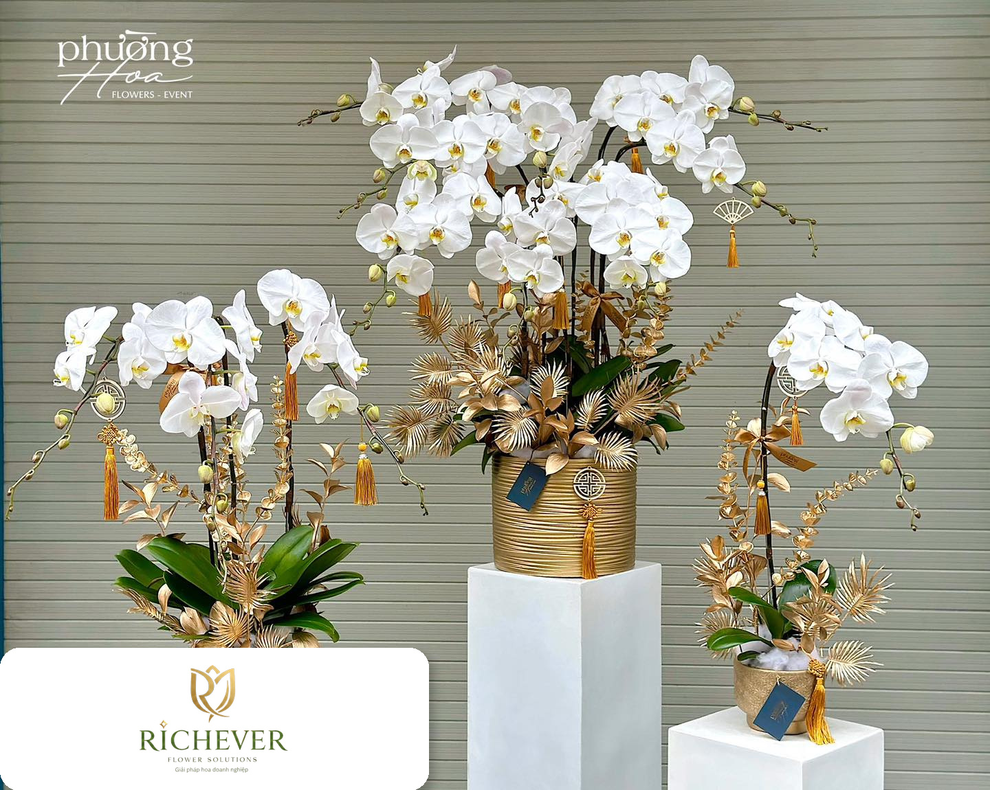 Hoa trang trí văn phòng định kỳ